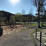 Daire Bio Am Wildsee In Seefeld Mit E-ladestation